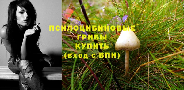 гашиш Саяногорск