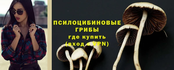 бошки Абинск
