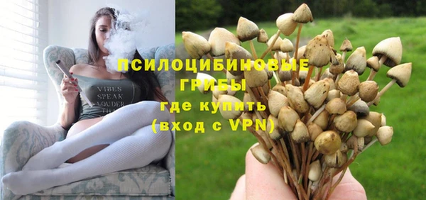 крисы Алзамай