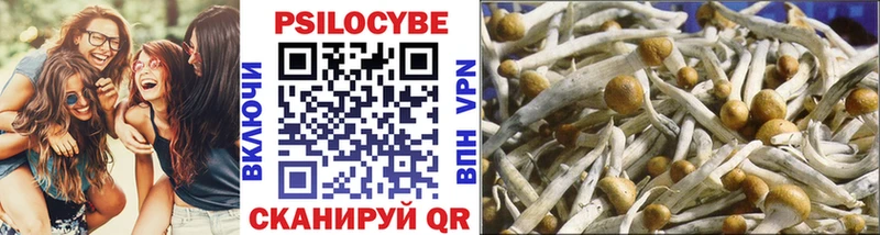 Псилоцибиновые грибы Magic Shrooms  ссылка на мегу вход  Алексин  наркотики 