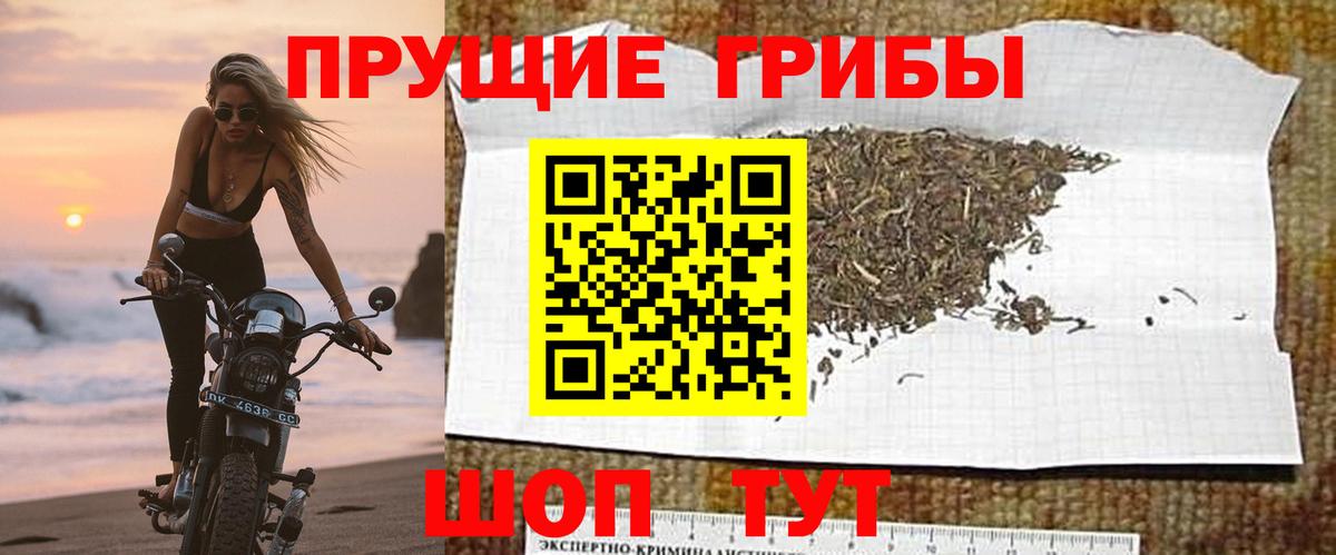 Галлюциногенные грибы прущие грибы Алексин