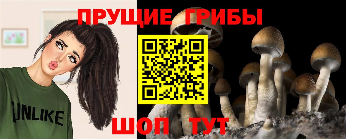 Алексин  Псилоцибиновые грибы мухоморы  Псилоцибиновые грибы Magic Shrooms  Вход с VPN 